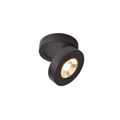 Round Rotating LED Downlight