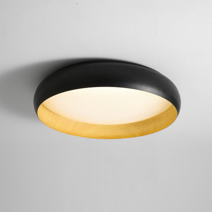 Alamus Ceiling Light