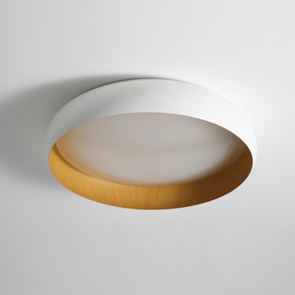 Alamus Ceiling Light