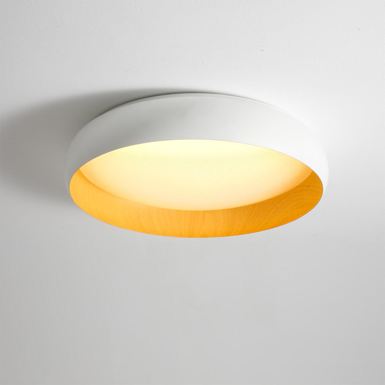 Alamus Ceiling Light