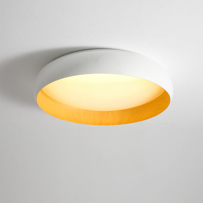 Alamus Ceiling Light