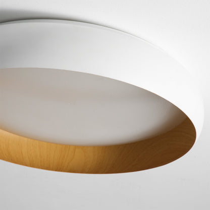 Alamus Ceiling Light