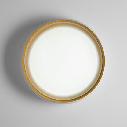 Alamus Ceiling Light