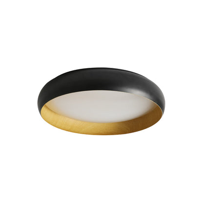 Alamus Ceiling Light
