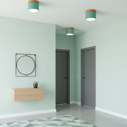 Alva Wooden Surface Downlight