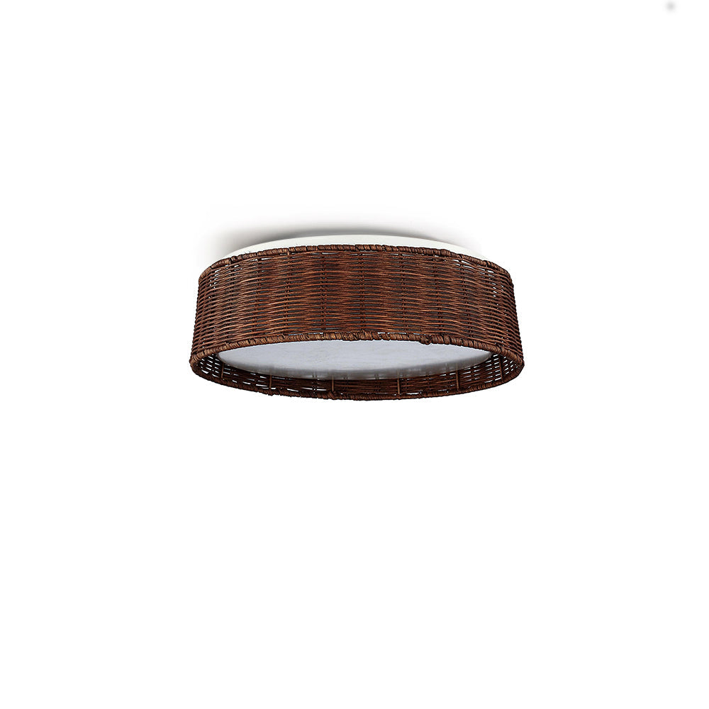 Bayou Ceiling Light