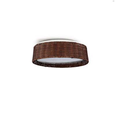 Bayou Ceiling Light