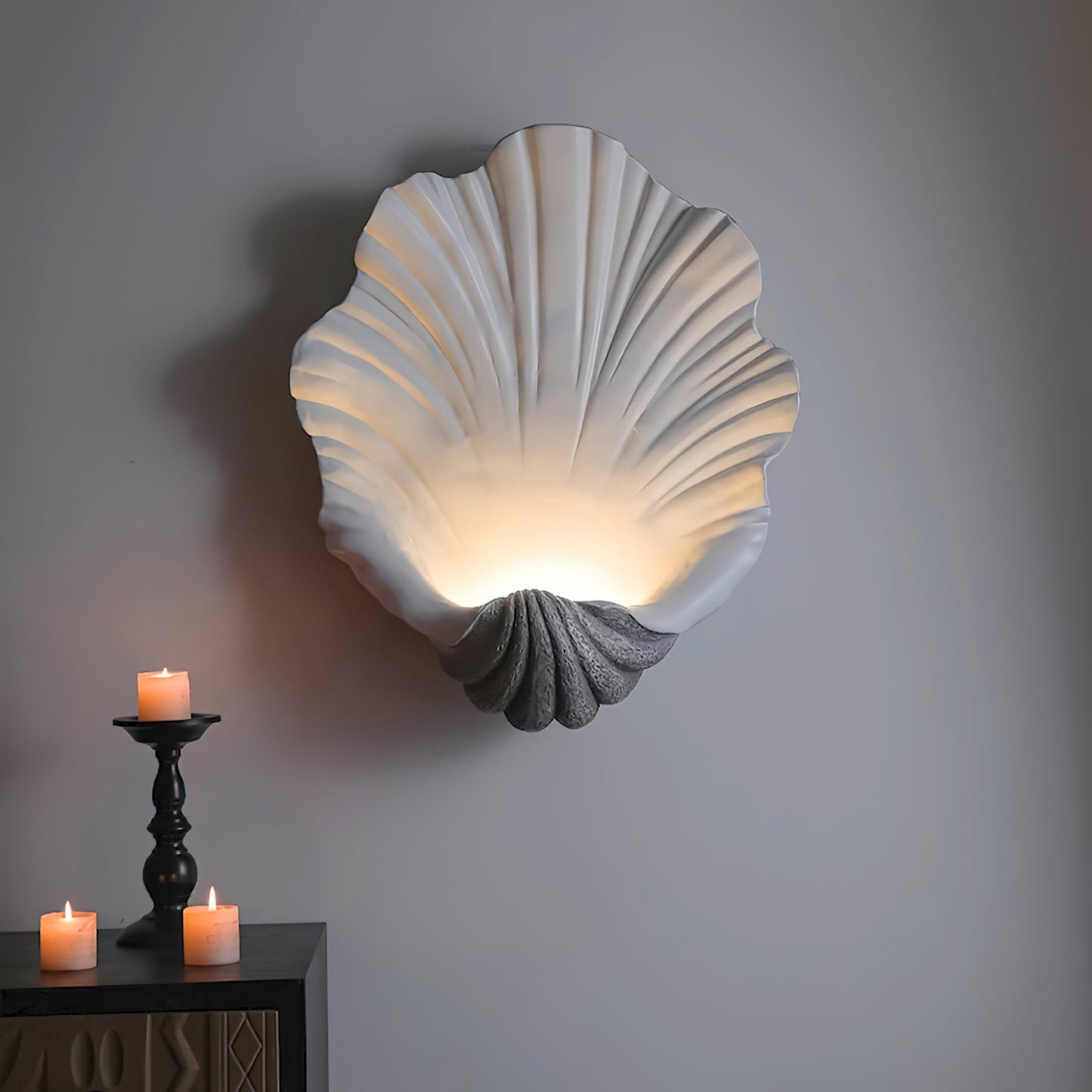 Bellacor Wall Light