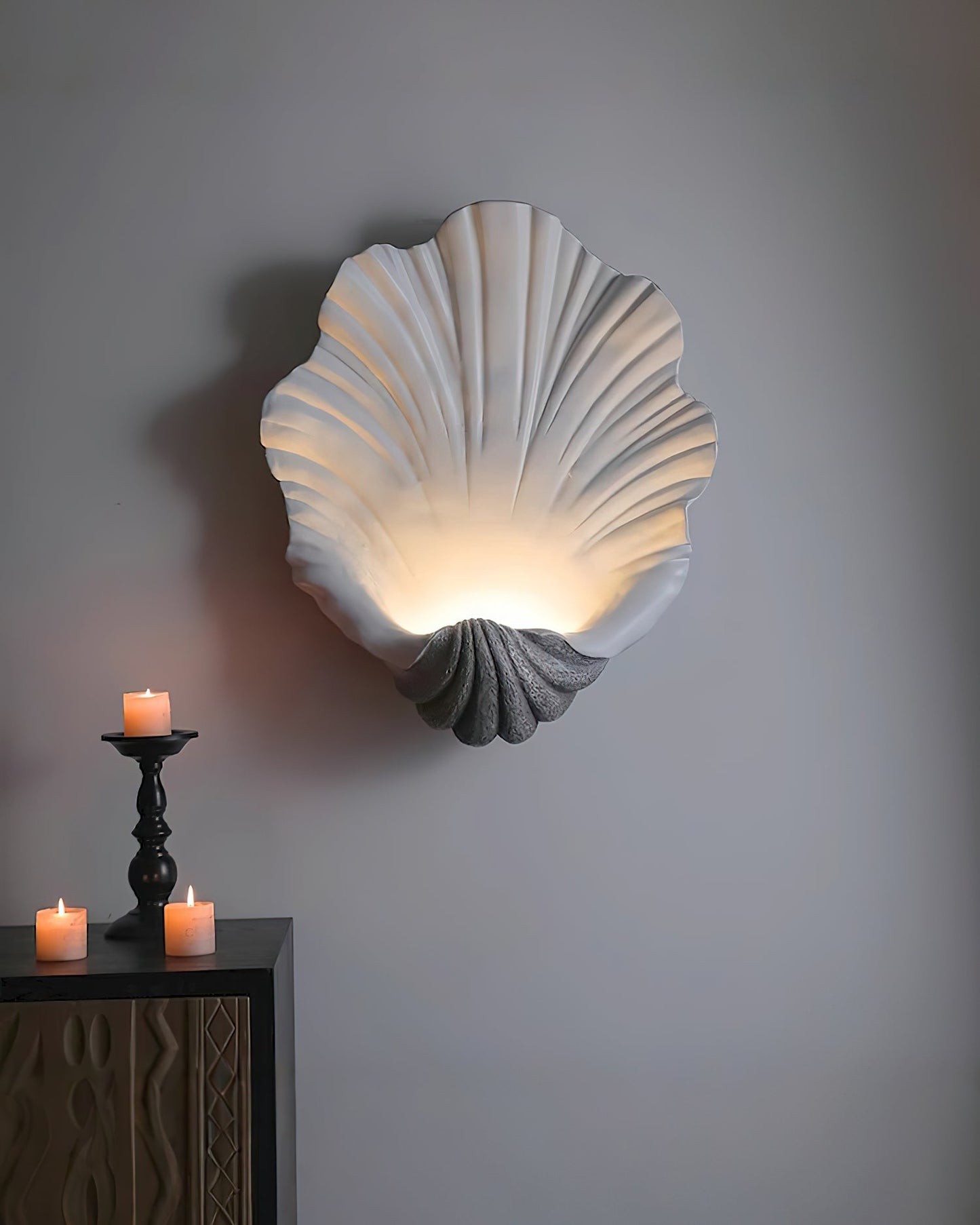 Bellacor Wall Light