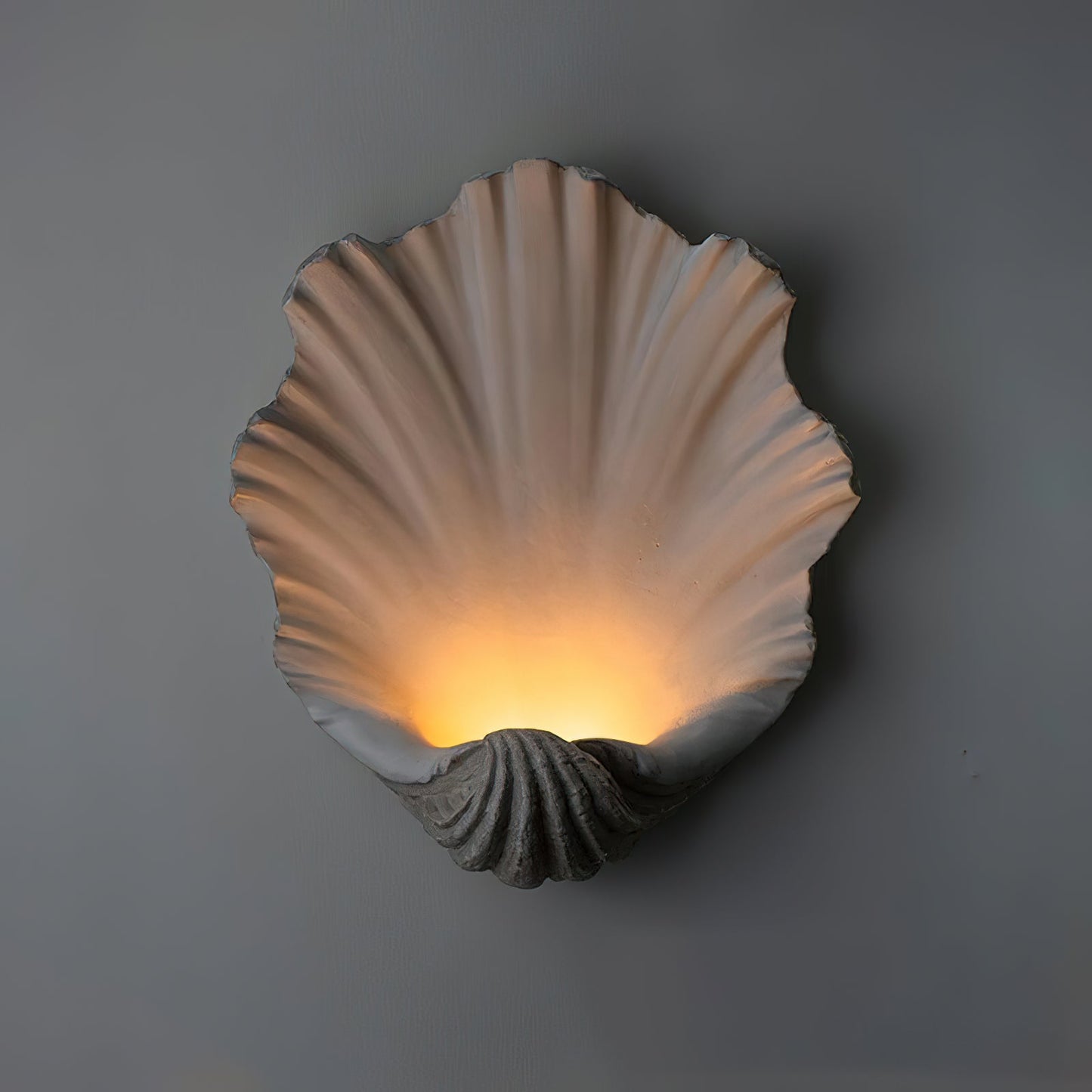 Bellacor Wall Light