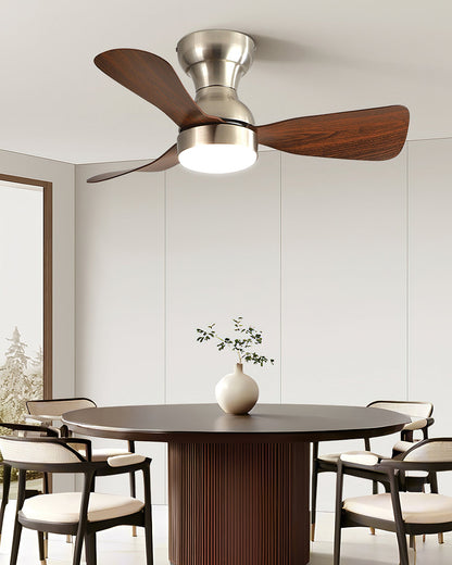 Bobe Ceiling Fan Light