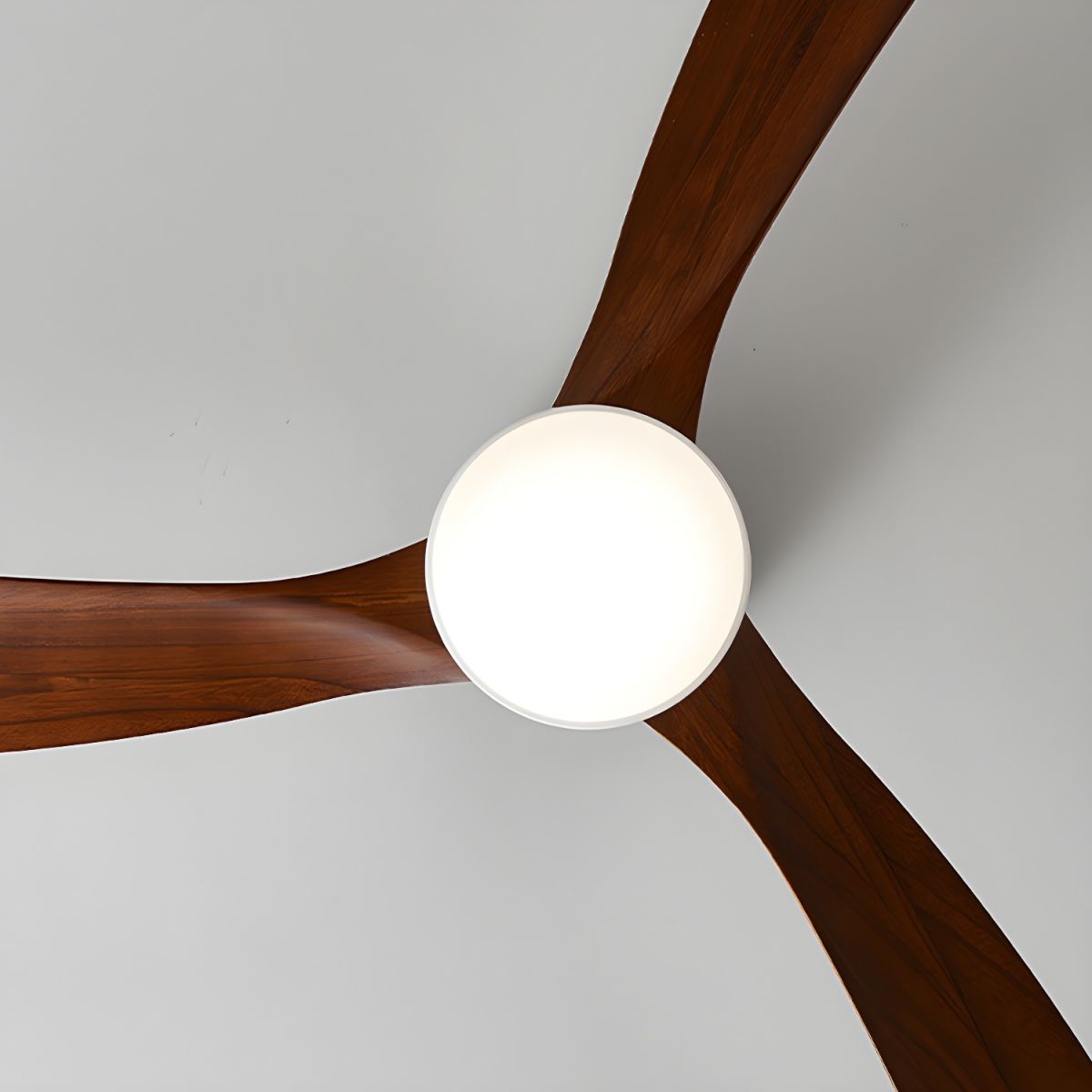 Brogan Ceiling Fan Light