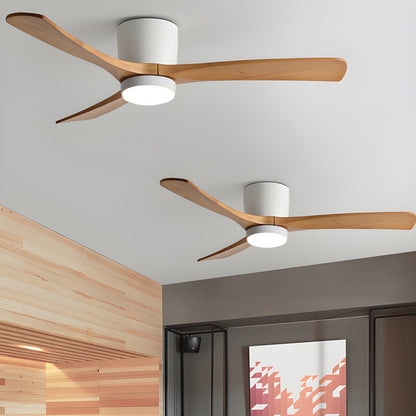 Brogan Ceiling Fan Light