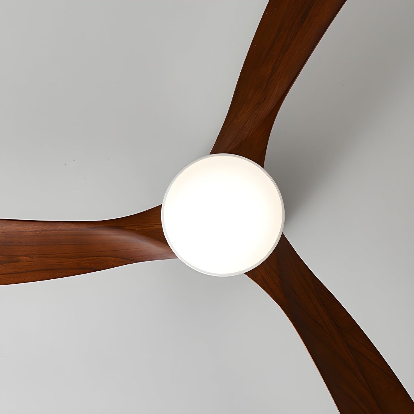 Brogan Ceiling Fan Light