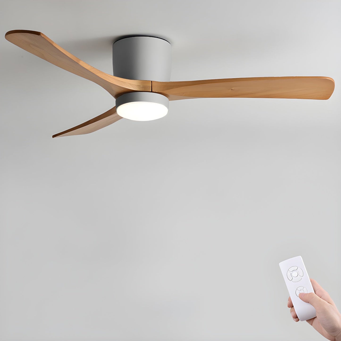 Brogan Ceiling Fan Light