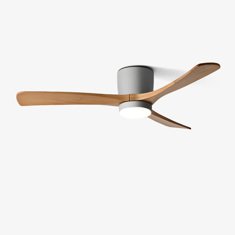 Brogan Ceiling Fan Light