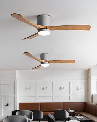 Brogan Ceiling Fan Light