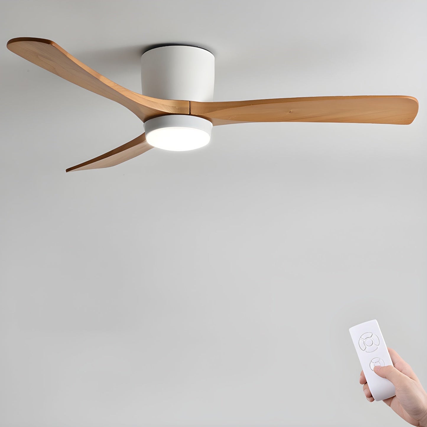 Brogan Ceiling Fan Light