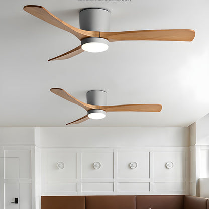 Brogan Ceiling Fan Light