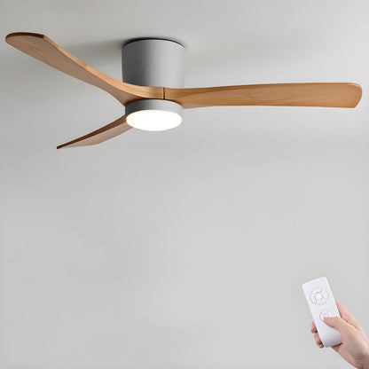 Brogan Ceiling Fan Light