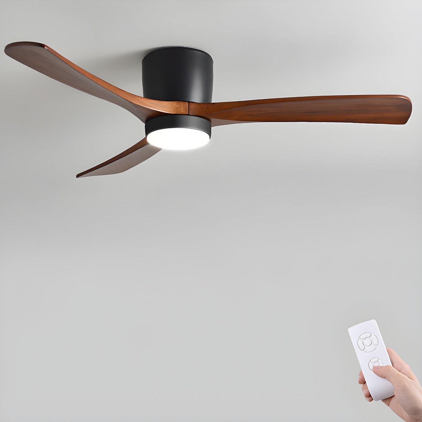Brogan Ceiling Fan Light
