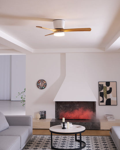 Brogan Ceiling Fan Light