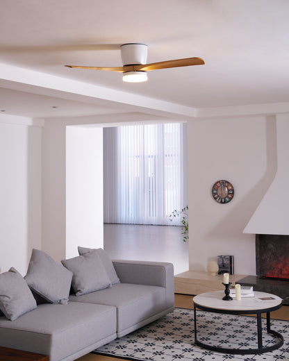 Brogan Ceiling Fan Light