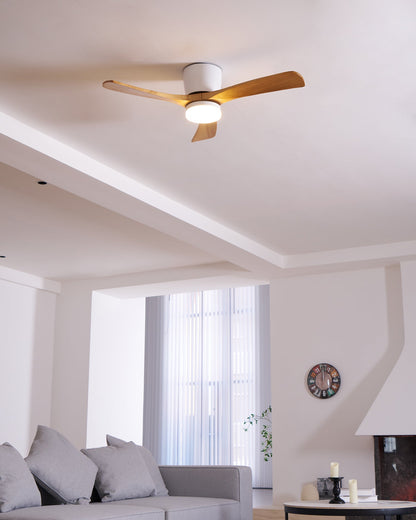 Brogan Ceiling Fan Light