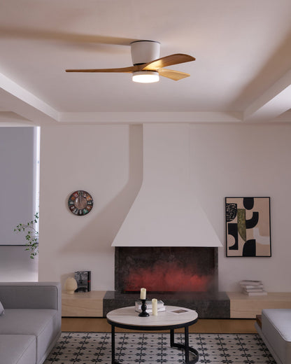 Brogan Ceiling Fan Light