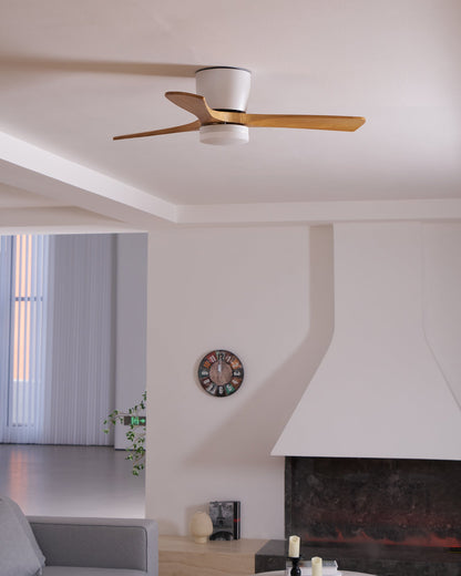 Brogan Ceiling Fan Light