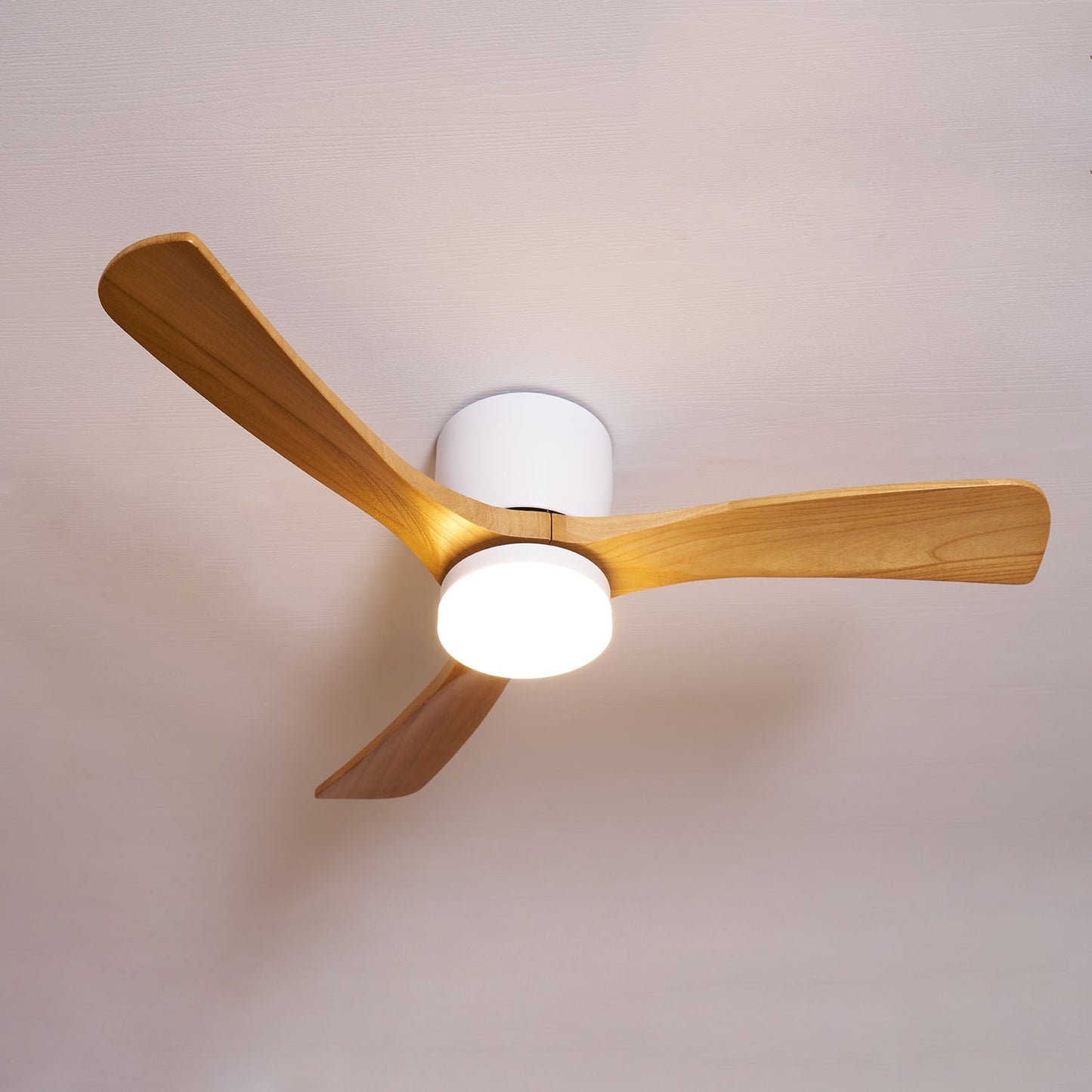 Brogan Ceiling Fan Light