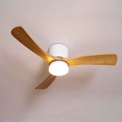 Brogan Ceiling Fan Light
