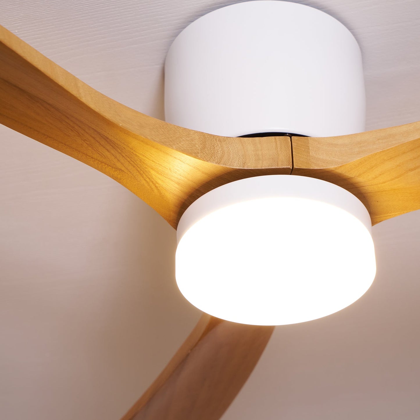 Brogan Ceiling Fan Light