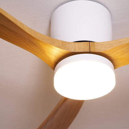 Brogan Ceiling Fan Light