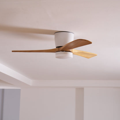 Brogan Ceiling Fan Light
