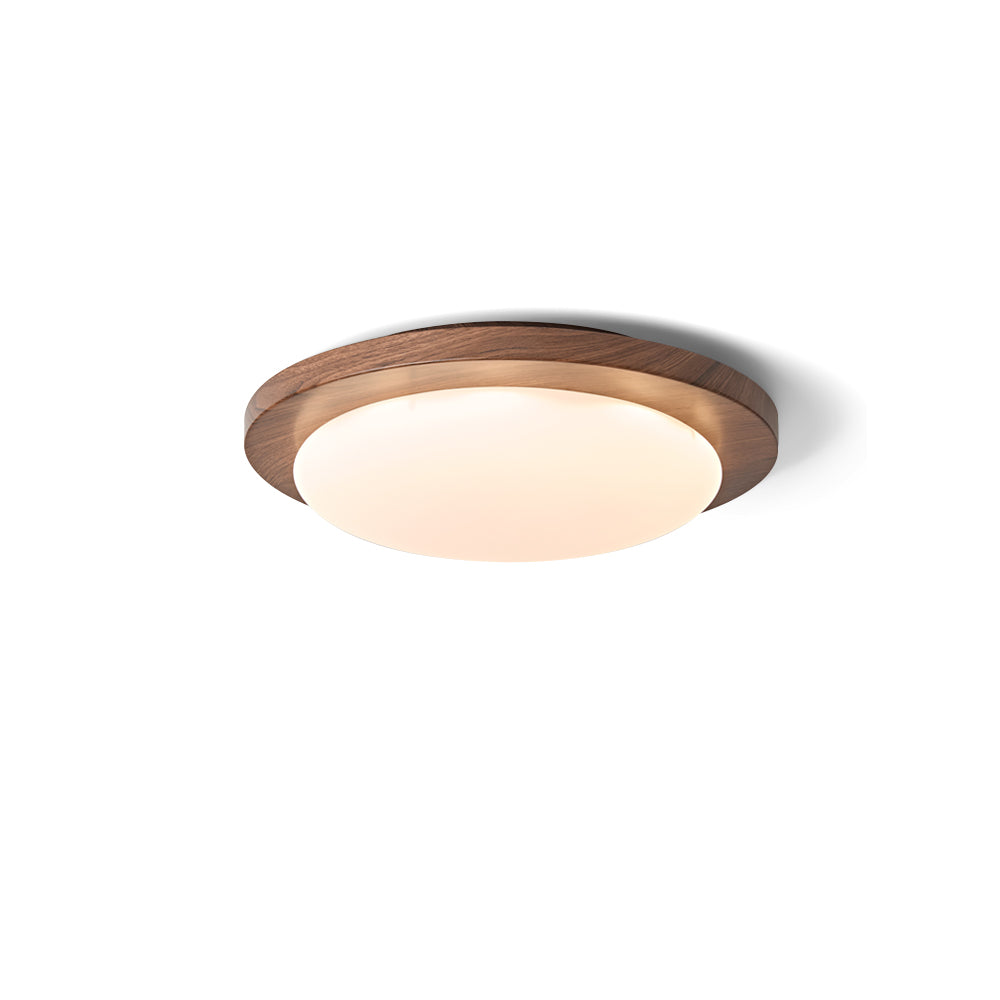 Bromo Ceiling Light