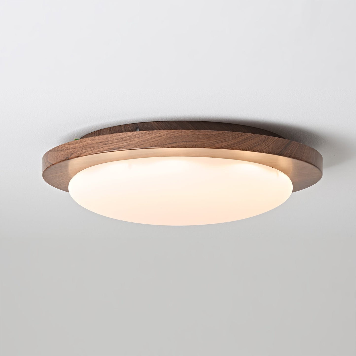 Bromo Ceiling Light
