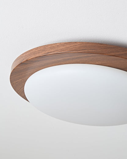Bromo Ceiling Light