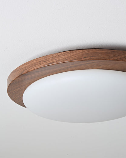 Bromo Ceiling Light