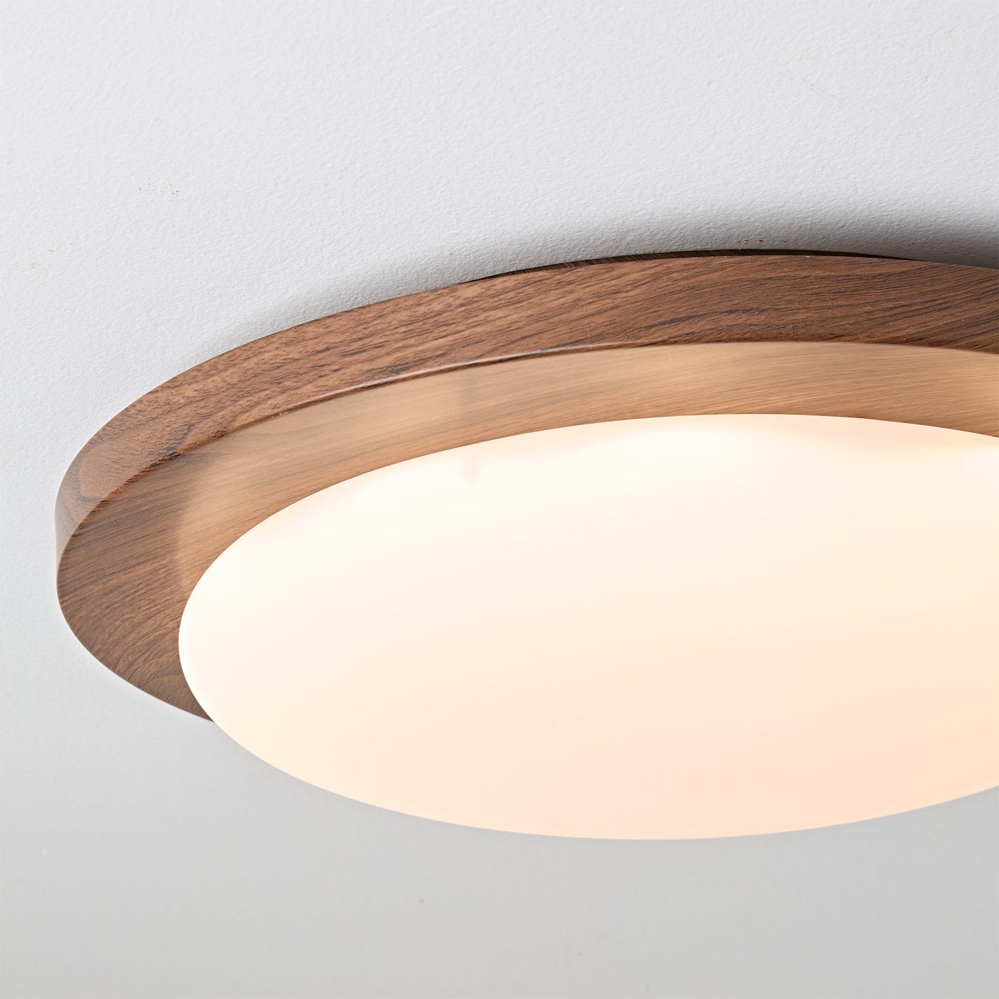 Bromo Ceiling Light