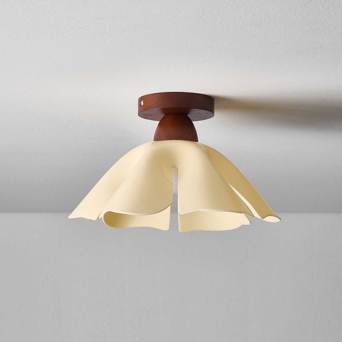 Cenia Ceiling Light