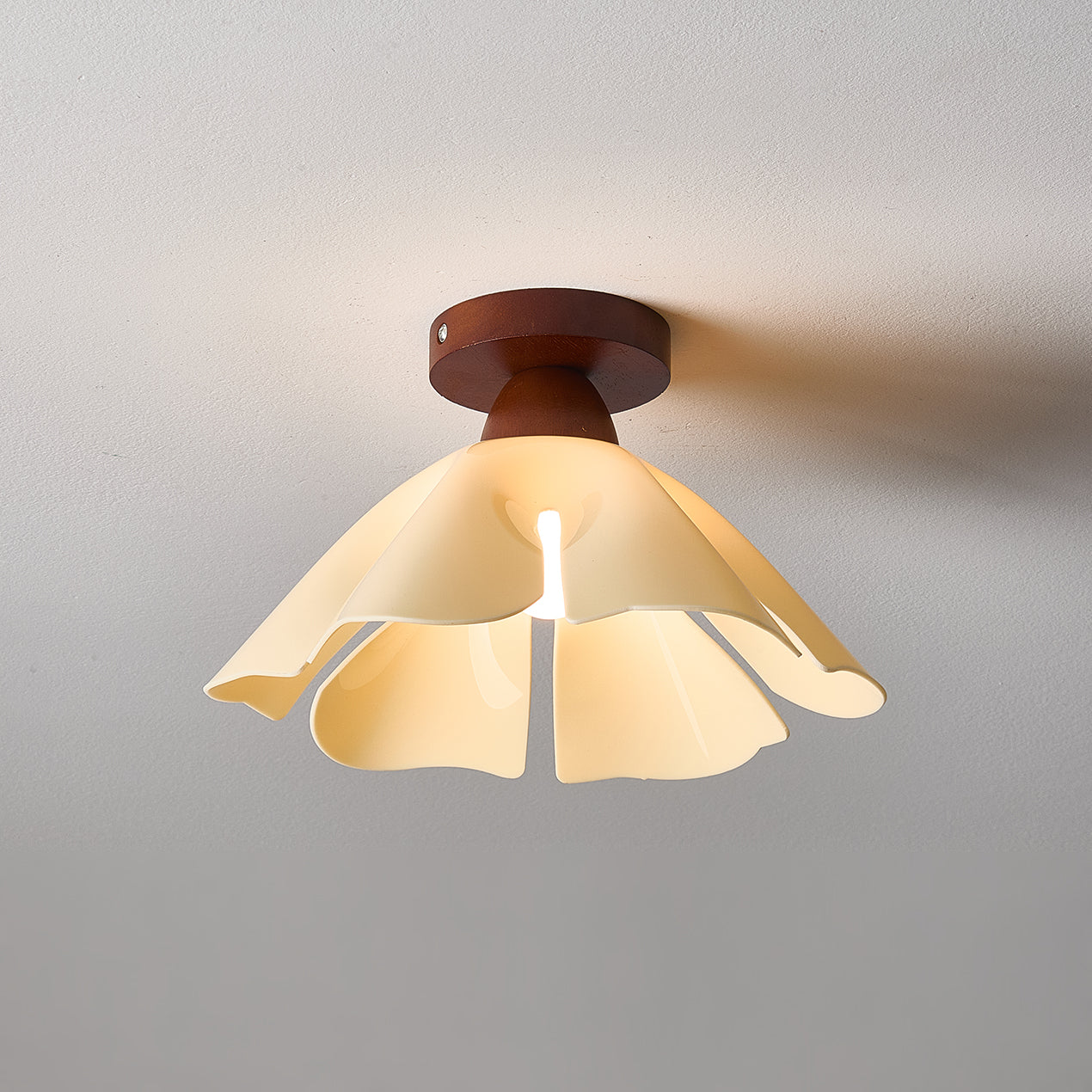Cenia Ceiling Light