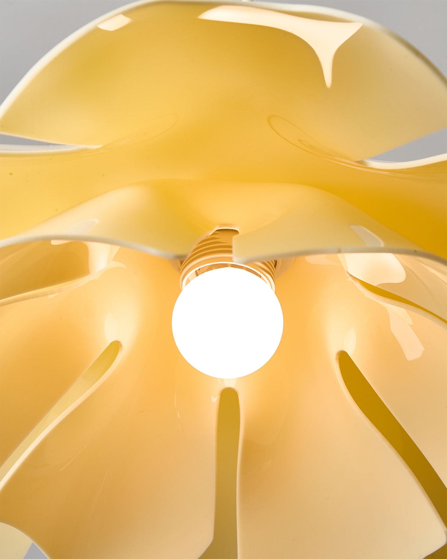 Cenia Pendant Light