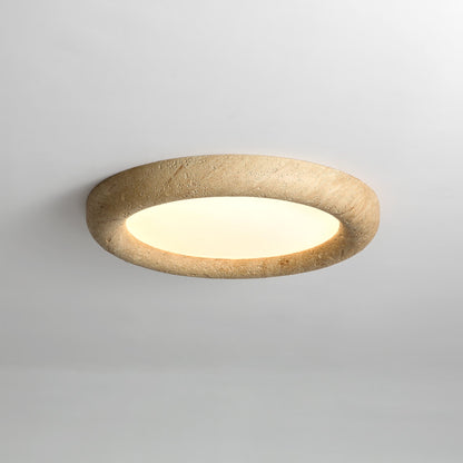 Concise Ceiling Light