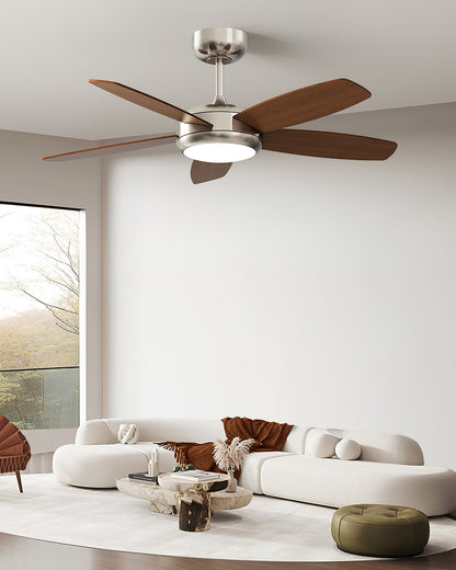 Destin Ceiling Fan Light
