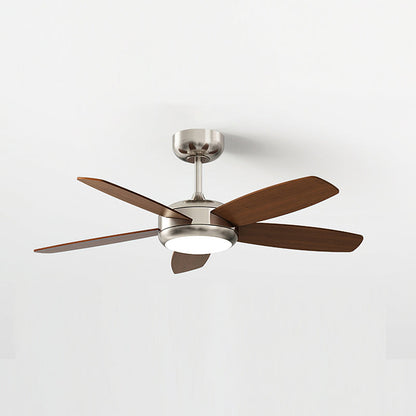 Destin Ceiling Fan Light