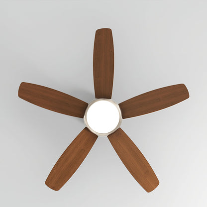 Destin Ceiling Fan Light