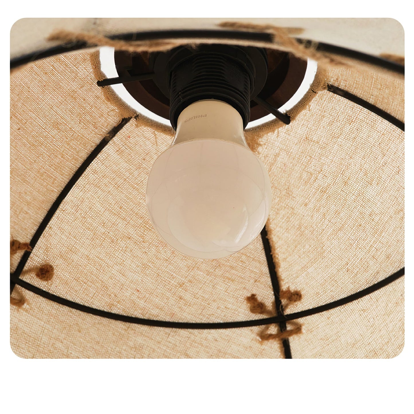 Duomo Pendant Light