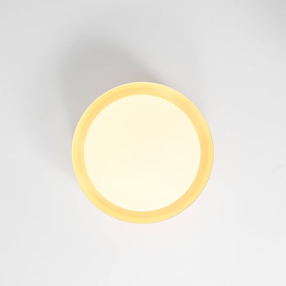 Ebern Ceiling Light