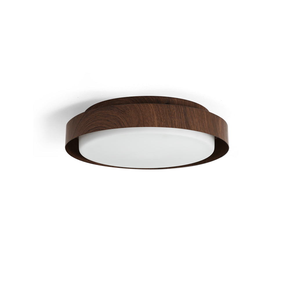 Ebern Ceiling Light